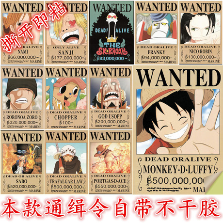 大专毕业证能不能补办
